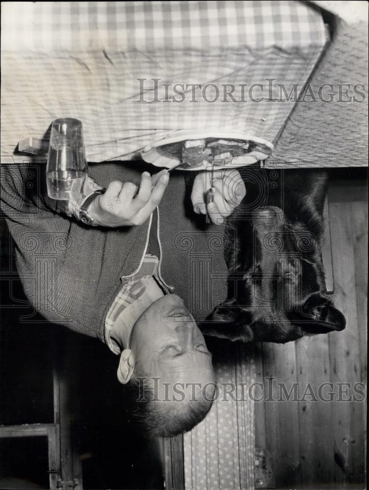 Press Photo the dog&#39;s work is rewarded by extra rations - Historic Images