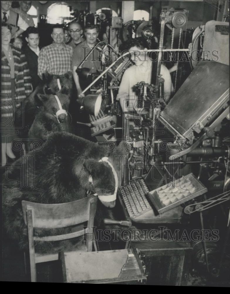 1957 Press Photo Peggy, Mausi and Peter the Bear Cubs - Historic Images