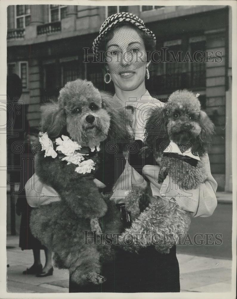 Press Photo Mrs. John Grievson and two poodles - Historic Images