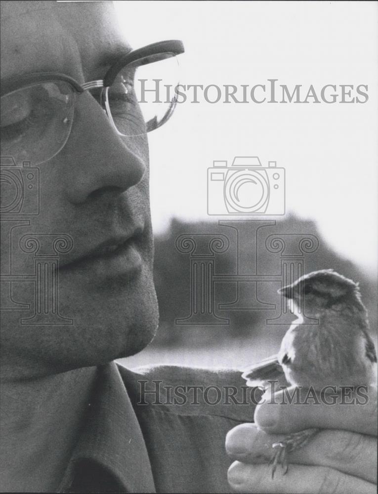 1973 Press Photo First Tame Sparrow &quot;Jonathon&quot; - Historic Images