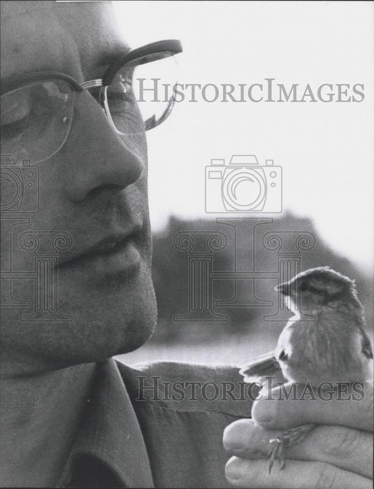 1973 Press Photo First Tame Sparrow "Jonathon" - Historic Images