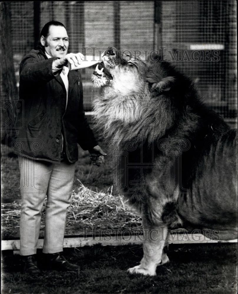 Press Photo Simba the gourmet savours with relish the first drops of his milk ra - Historic Images