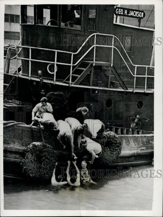 1951 Press Photo Tug Crews Rescue Woman from New York river - Historic Images