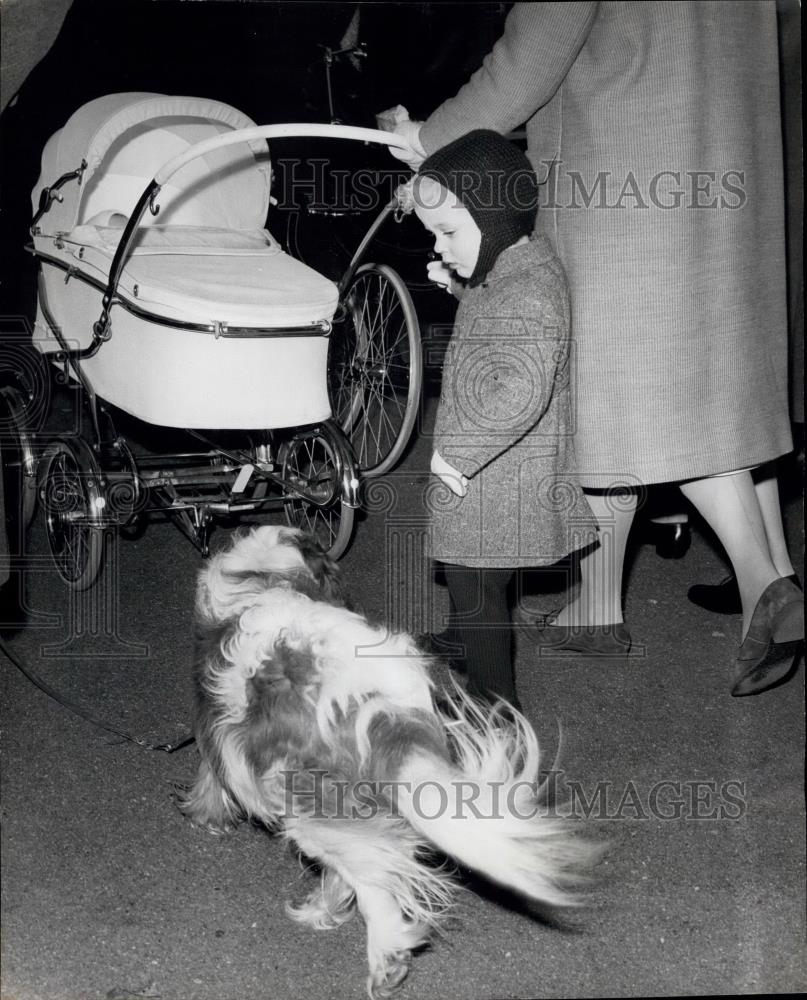 1964 Press Photo Earl of St. Andrews &amp; his Dog walking with his sister - Historic Images