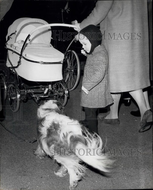 1964 Press Photo Earl of St. Andrews & his Dog walking with his sister - Historic Images