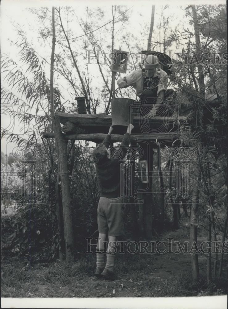 Press Photo The Man who lives in the Trees: Frank Gunnell - Historic Images