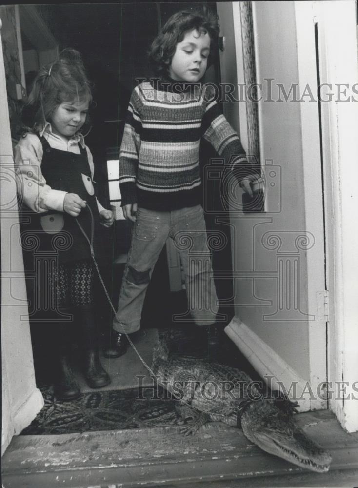 1959 Press Photo Sidney the pet &#39;Alligator&#39;is taken for a walk - Historic Images