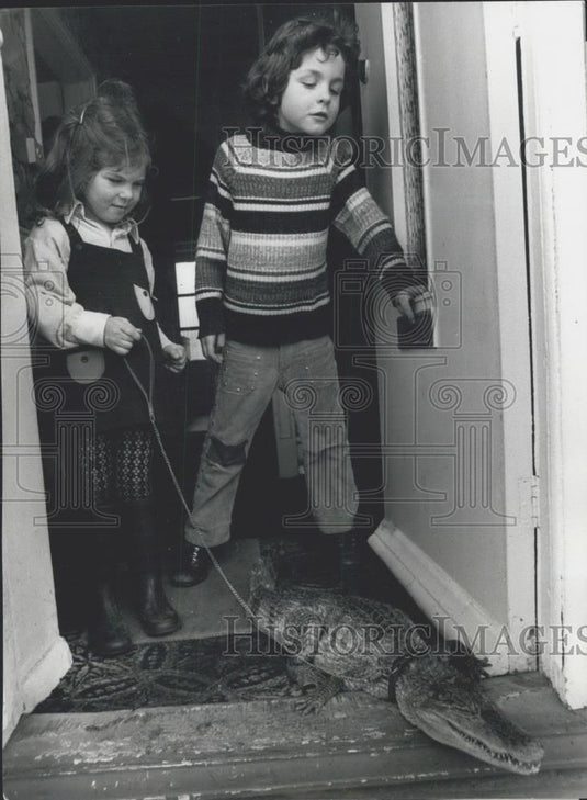 1959 Press Photo Sidney the pet 'Alligator'is taken for a walk - Historic Images