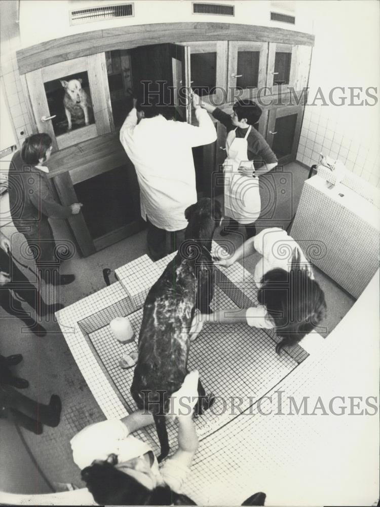 1971 Press Photo Europe&#39;s most modern animal home - Historic Images