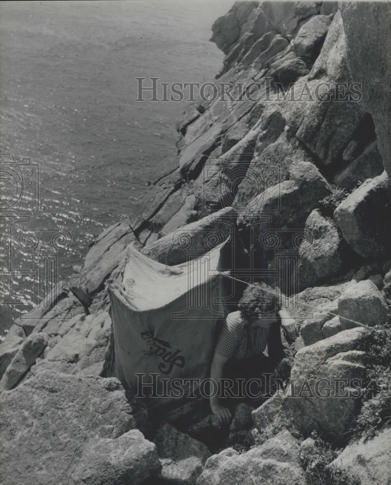 Press Photo Barbara Whitaker, Lundy Island - Historic Images