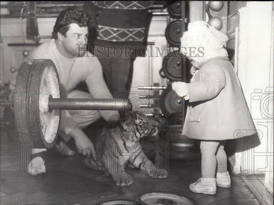 Press Photo Tiger and Weight - Lifting Champion Raymond L'Homme - Historic Images