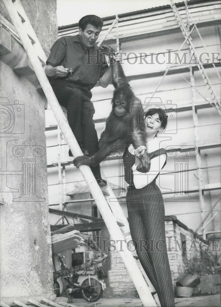 1964 Press Photo Orangutan at animal hospital in Stuttgart - Historic Images