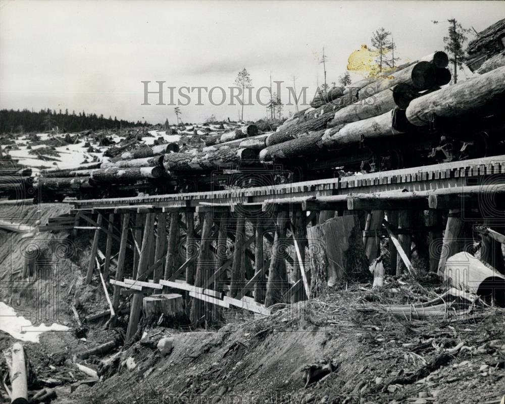 Press Photo Newly Cut Timber Being taken To Mill At Cooper Canyon In Victoria BC - Historic Images