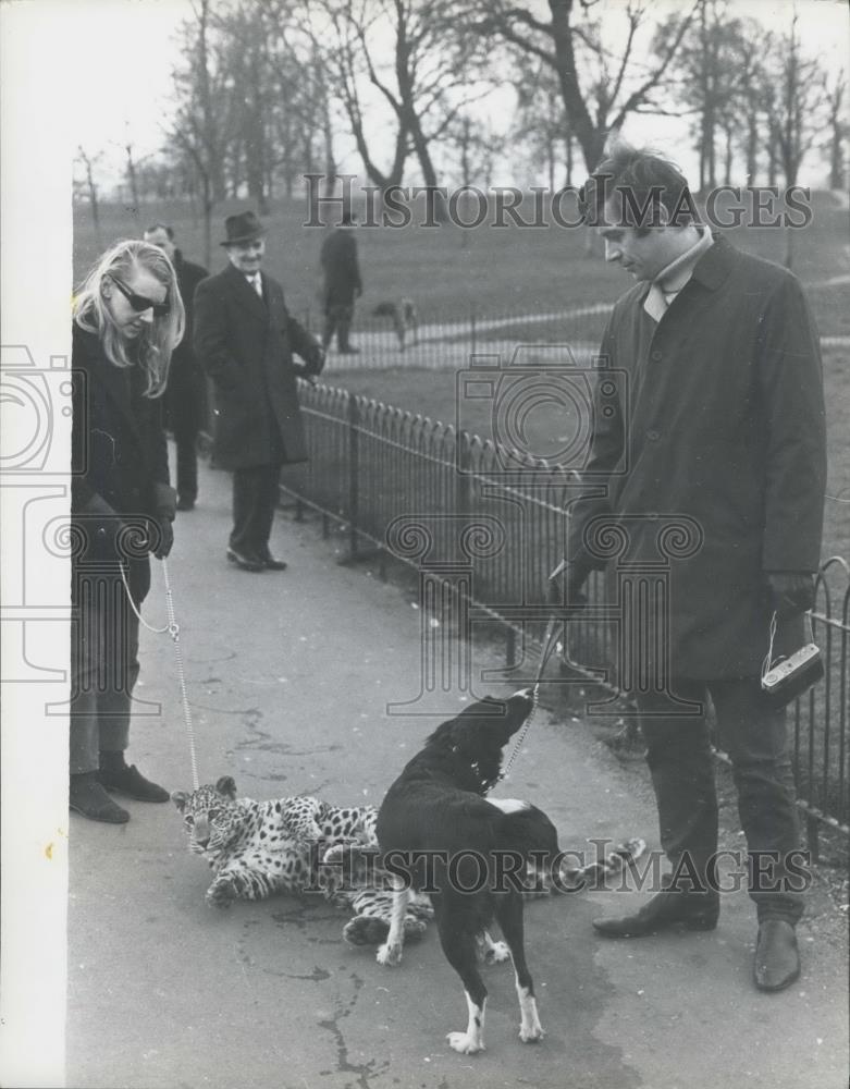 Press Photo A leopard cub and dog playing - Historic Images