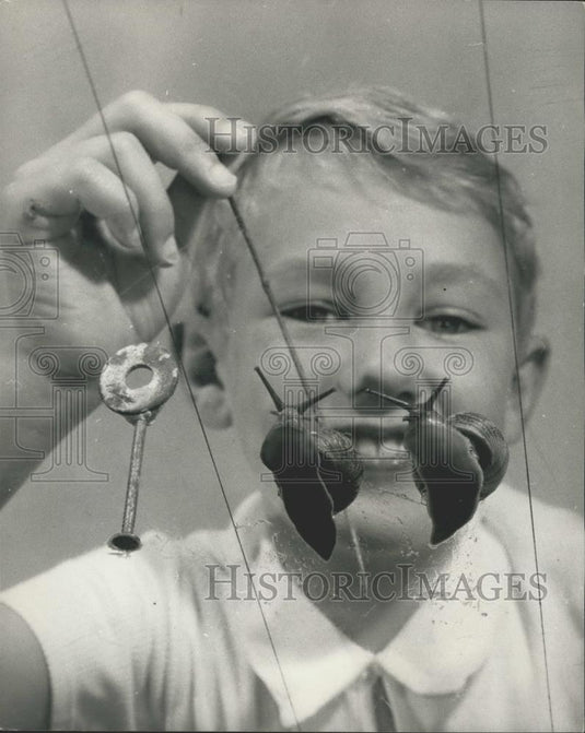 Press Photo Preparing for the Snail Championship Race - Historic Images