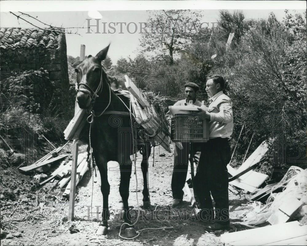 1971 Press Photo People load mule to escape Mt Etna eruption - Historic Images