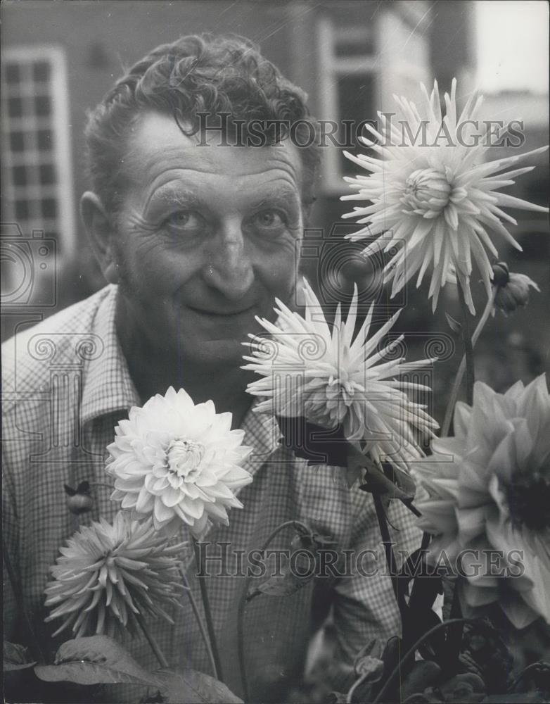 1970 Press Photo Mr. Gordon Sandiford and X Ray Dahlias - Historic Images