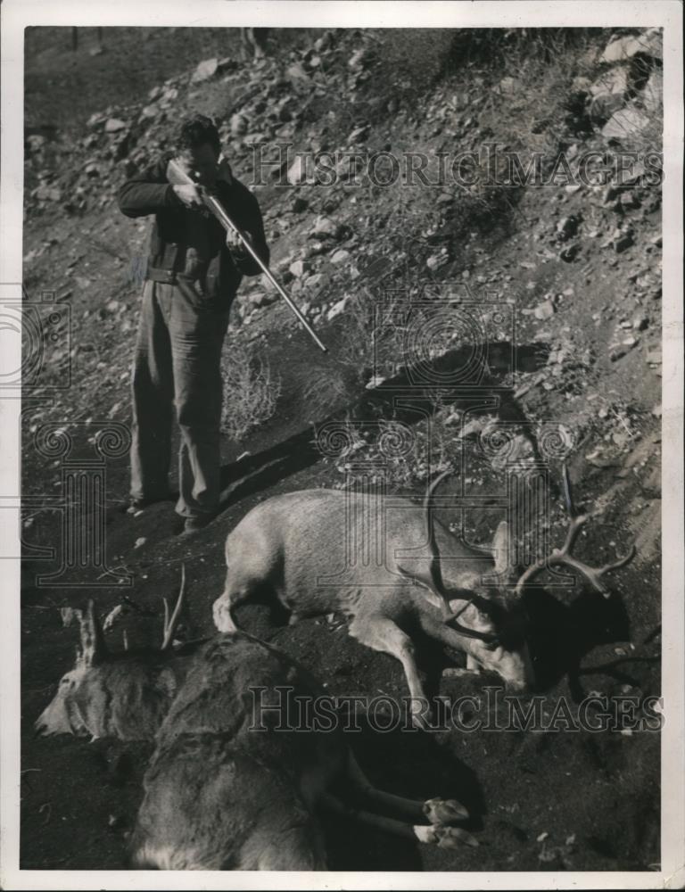 1939 Press Photo of a hunter killing a deer. - Historic Images