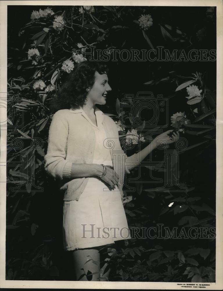 1948 Press Photo Rhododendron blossoms on display in W VA the state flower - Historic Images