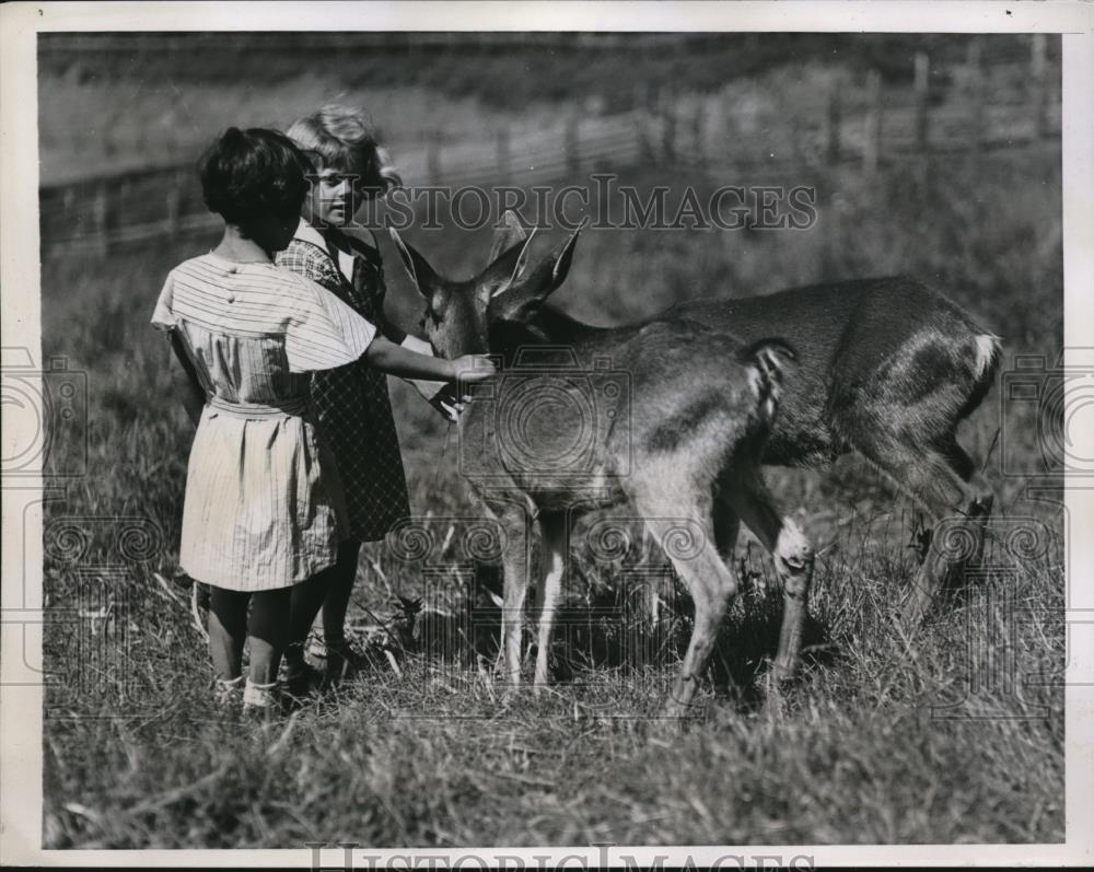 1935 Press Photo Deers playing with the kids - Historic Images