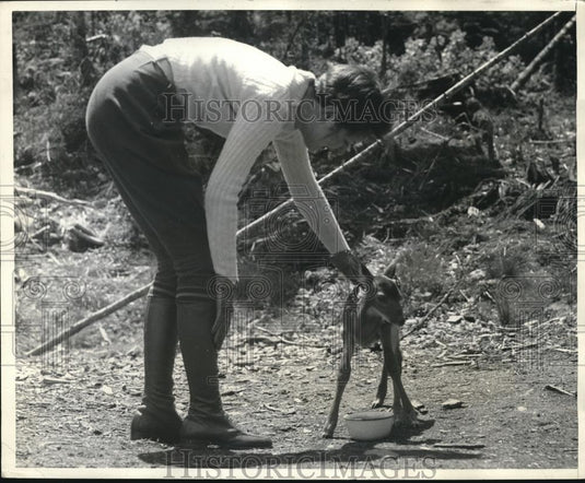 1936 Press Photo St Mary's River guide feeding a baby reindeer - Historic Images