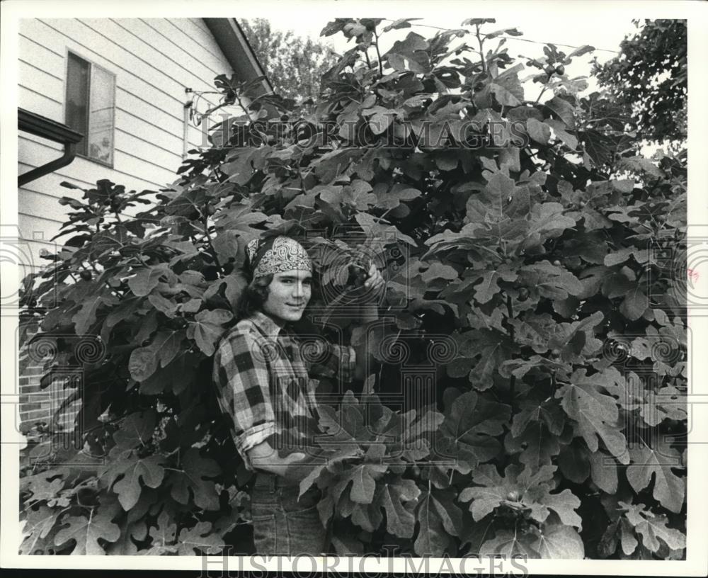 1980 Press Photo Michael McKenna standing by his father&#39;s Fig Tree - Historic Images