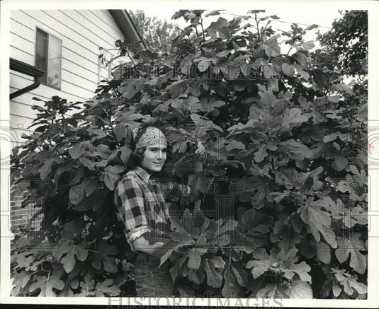 1980 Press Photo Michael McKenna standing by his father's Fig Tree - Historic Images