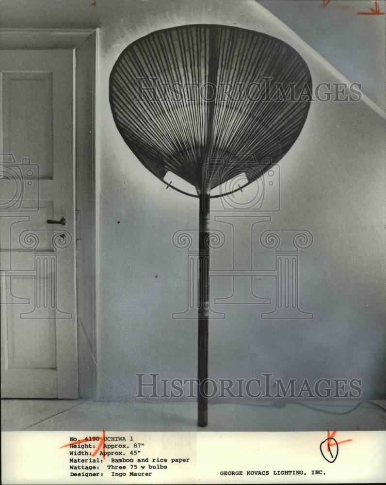 1978 Press Photo Palm fan light - Historic Images