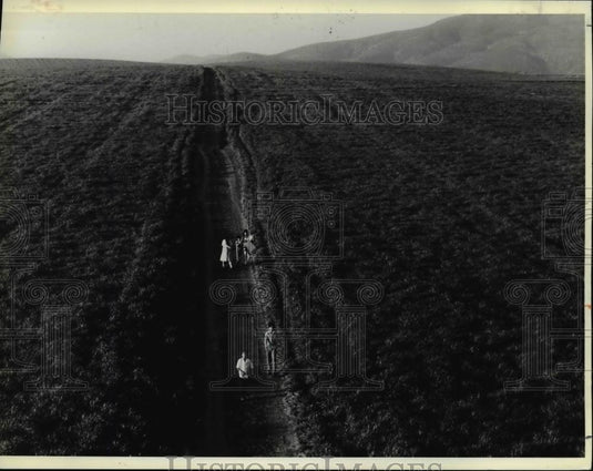 1984 Press Photo Illegal Aliens - Historic Images