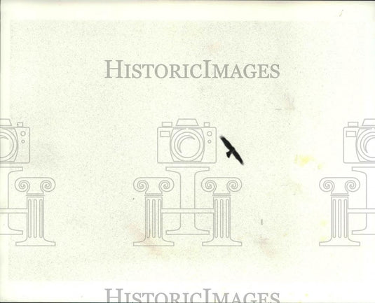 1986 Press Photo Metroparks Hinckley, buzzard - Historic Images