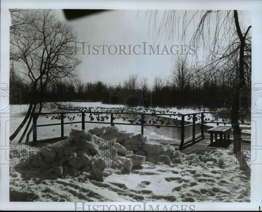 1978 Press Photo Sunset Pond in Metropark North Chagrin - Historic Images