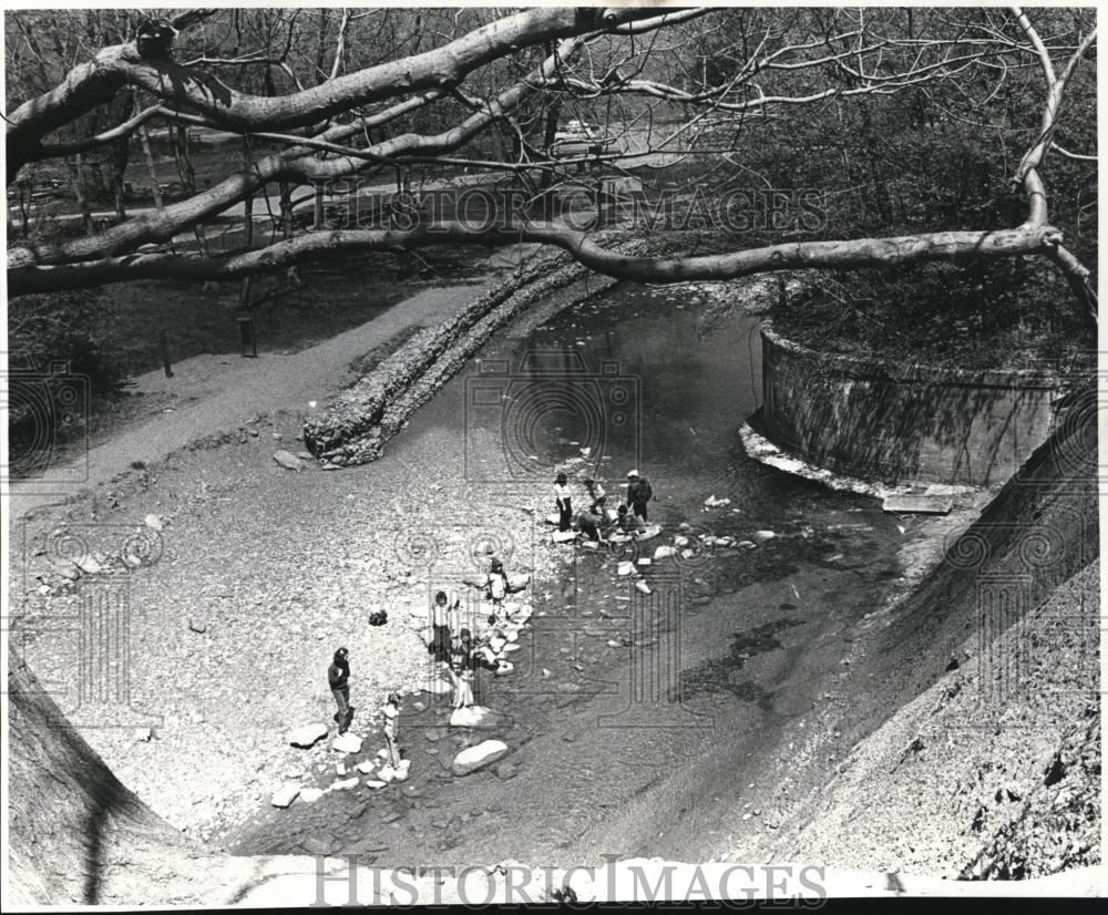 1981 Press Photo Metro Parks Euclid Creek - Historic Images