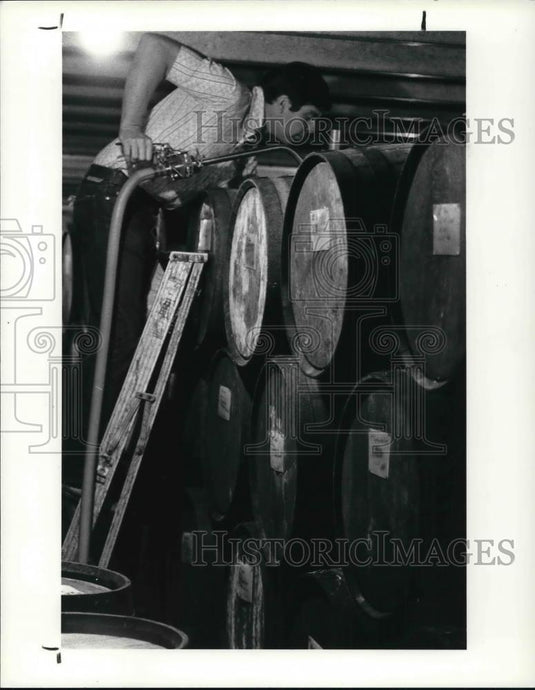 1985 Press Photo Chalet Debonne Wine Industry at Madison Ohio - Historic Images