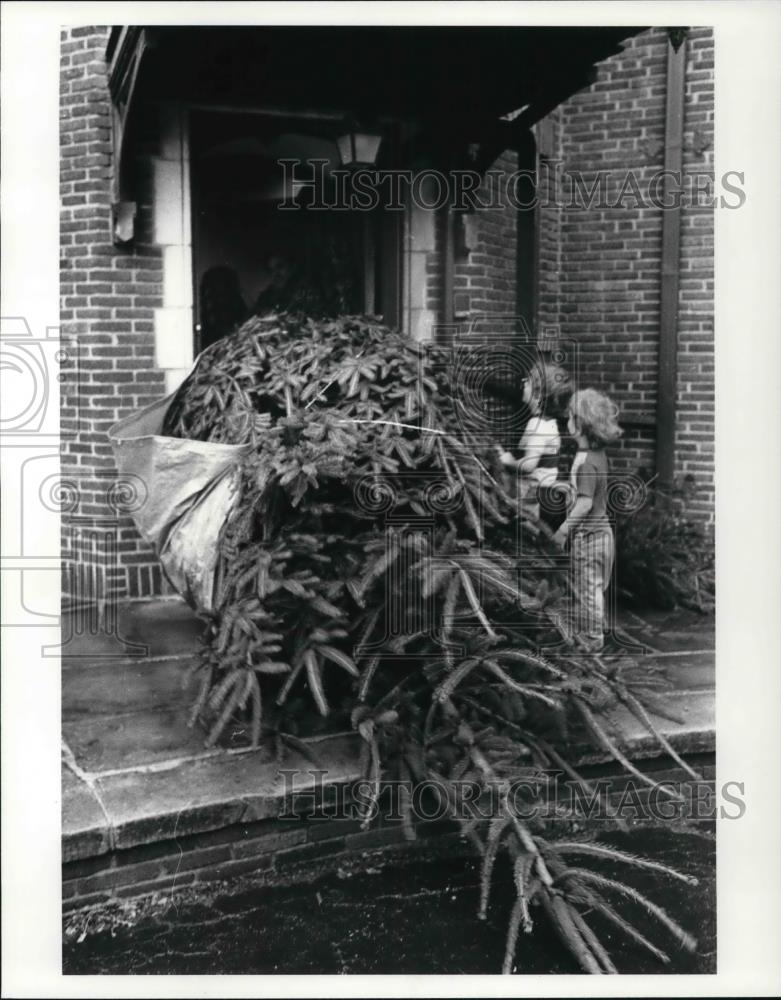1986 Press Photo Giant Christmas tree at the Fred and Mary Dressler home - Historic Images