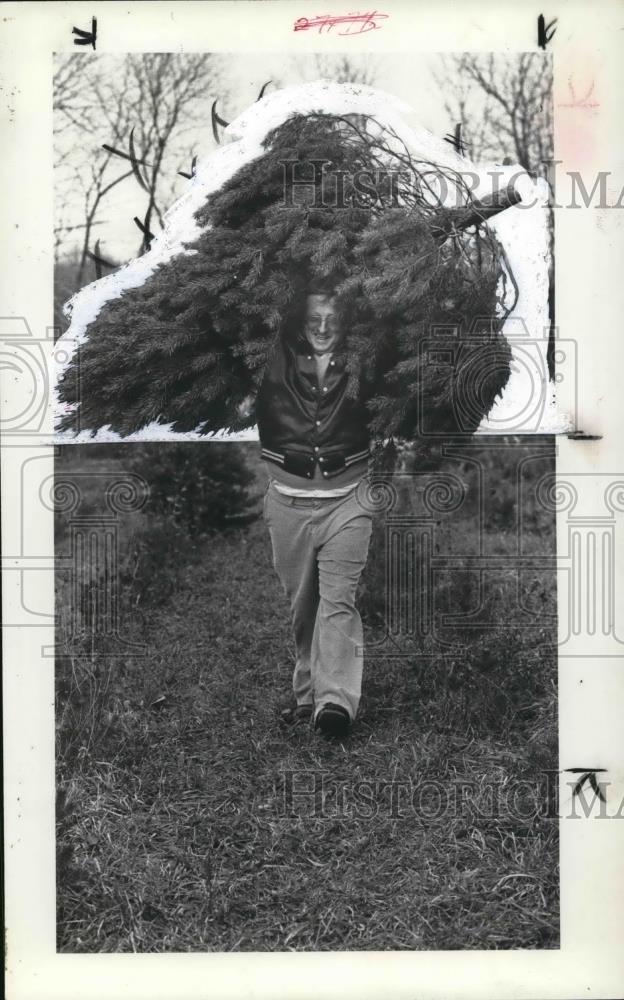 1979 Press Photo James Montgomery with the Christmas tree - Historic Images