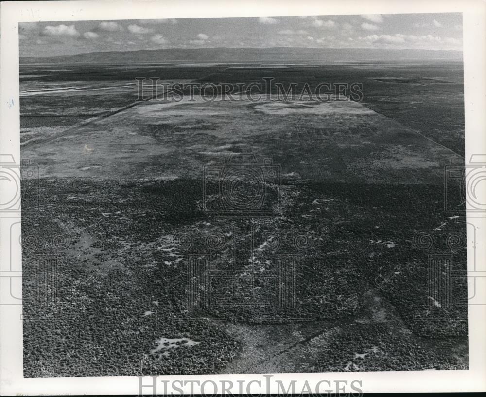 1979 Press Photo Aerial shot of 160 acres land purchased by Rolando Czeczok - Historic Images