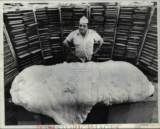 1977 Press Photo Samuel F. Presti, Presti Baking Co. - Historic Images