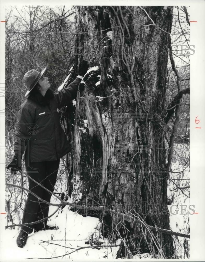 1980 Press Photo Diane Keller - Historic Images