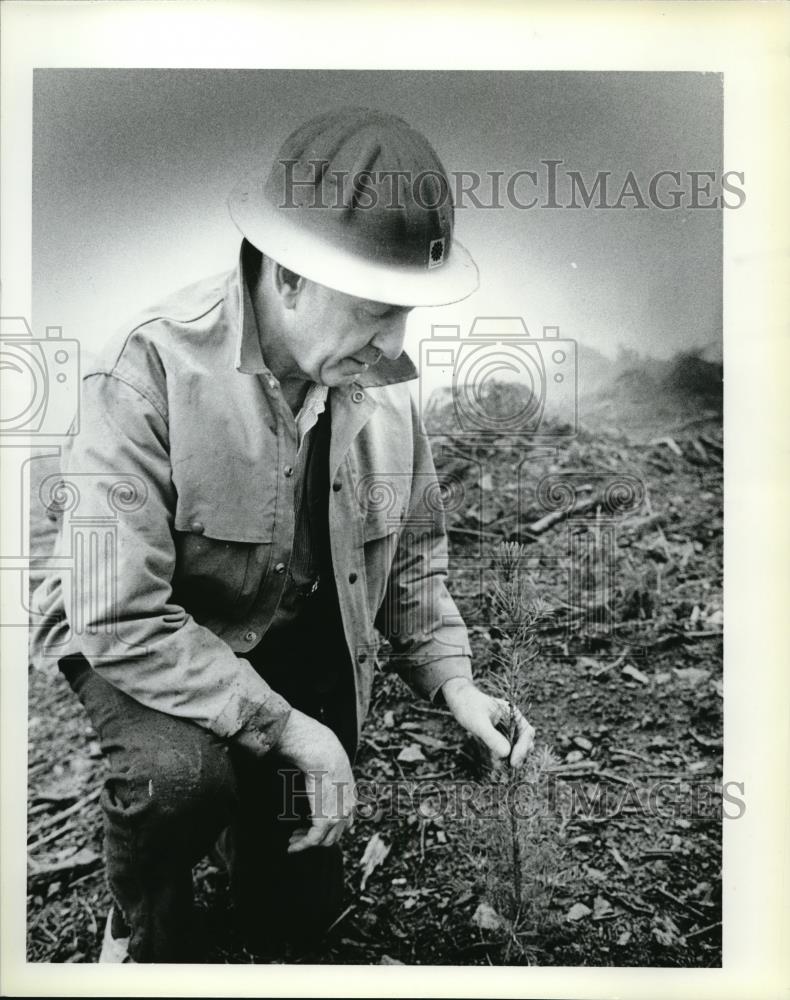 1980 Press Photo Bill Hagenstein planting a seedling - ora32630 - Historic Images