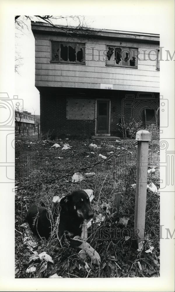 1979 Press Photo The vacant houses at the CMHA - Historic Images
