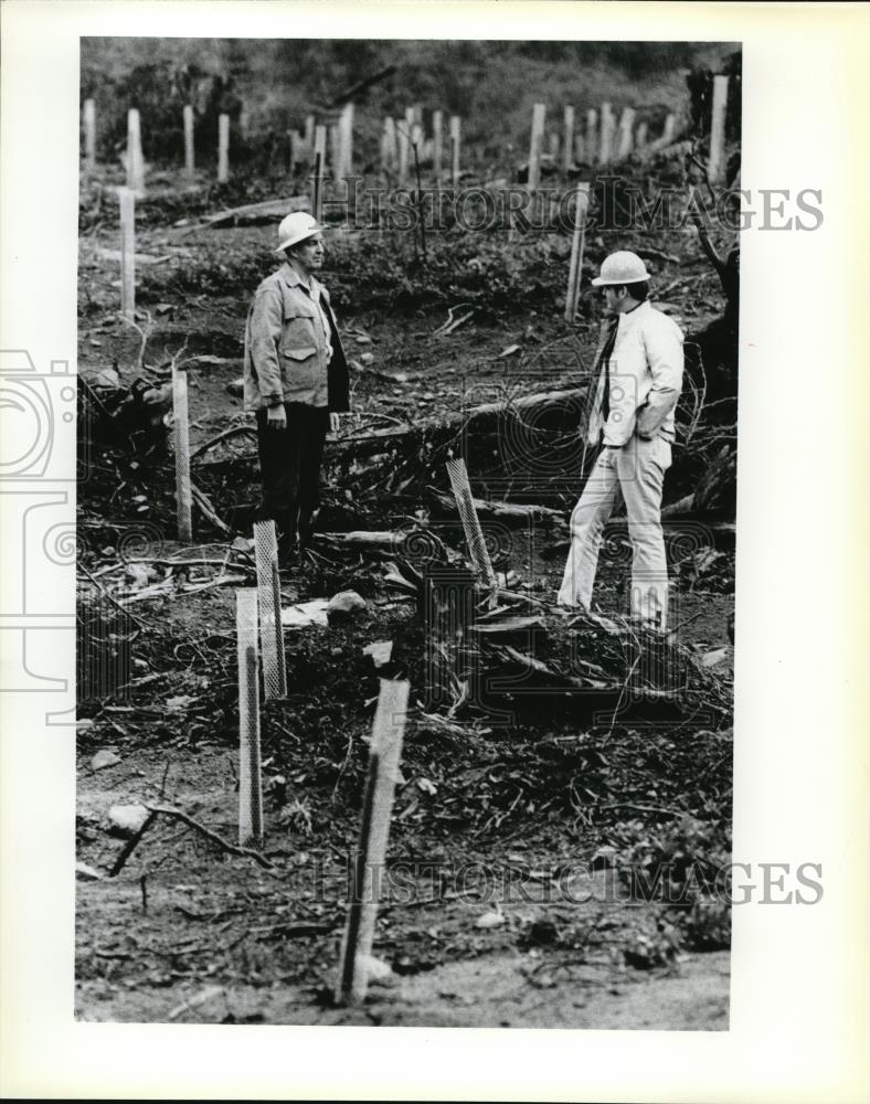 1980 Press Photo Bill Hagenstein with Crown at a reforested site - ora32629 - Historic Images