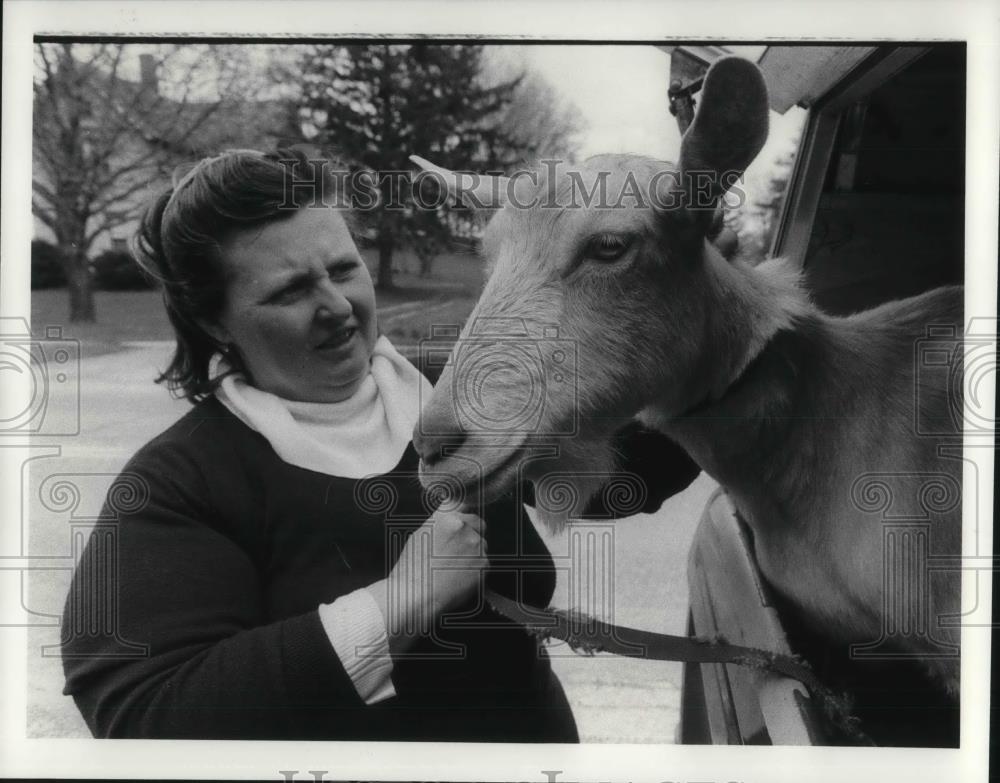 1983 Press Photo Sarah Highley with Goat - cvp20834 - Historic Images