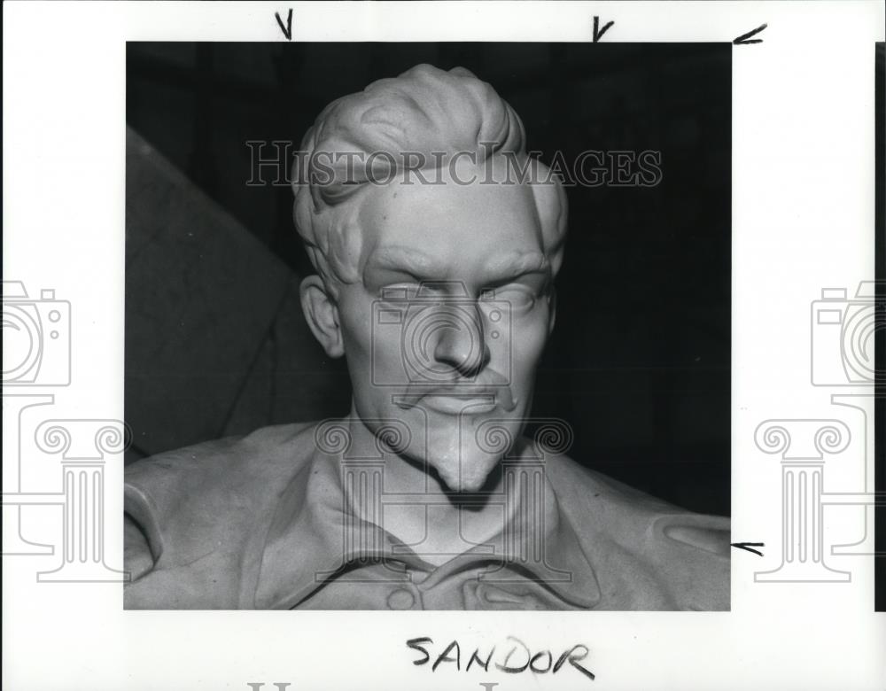 1989 Press Photo Sandor Petofi&#39;s statue at the Cleveland Library, main branch - Historic Images