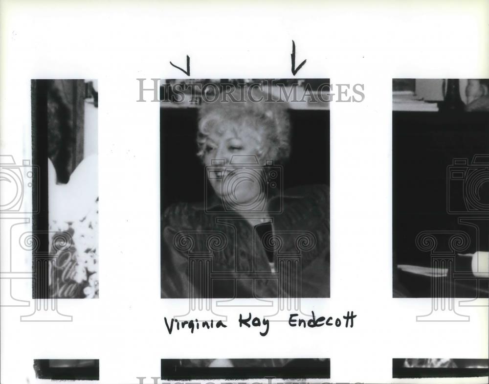 1995 Press Photo Virginia Kay Endecott, successful Oregon businesswoman - Historic Images