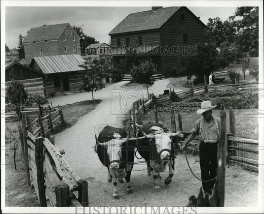 Press Photo Toronto's Fall festivity Celebration - Historic Images
