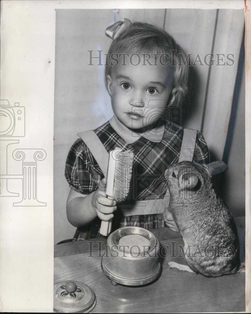 1954 Press Photo Barbara Paine combing Archie, her pet chinchilla - Historic Images