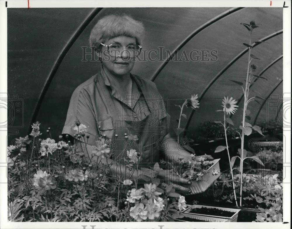 1991 Press Photo Joann Myers and her plants at Foggotten tyme Gardens - Historic Images