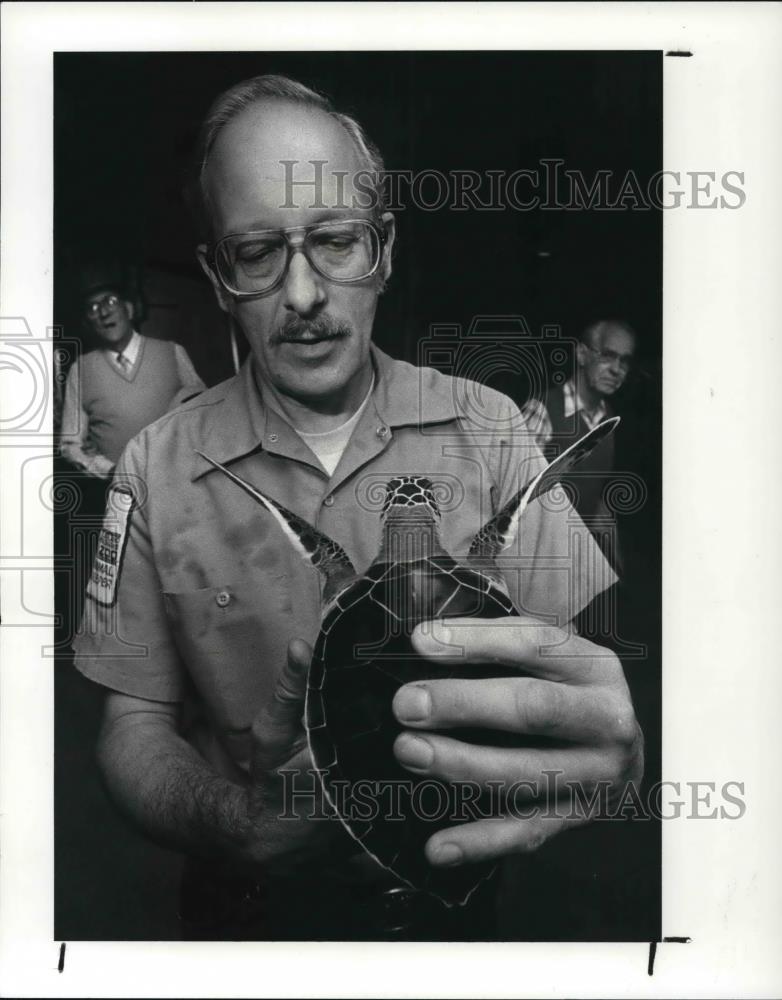 1986 Press Photo Dan Moreno and zoo visitors check out the Green Sea Turtles - Historic Images