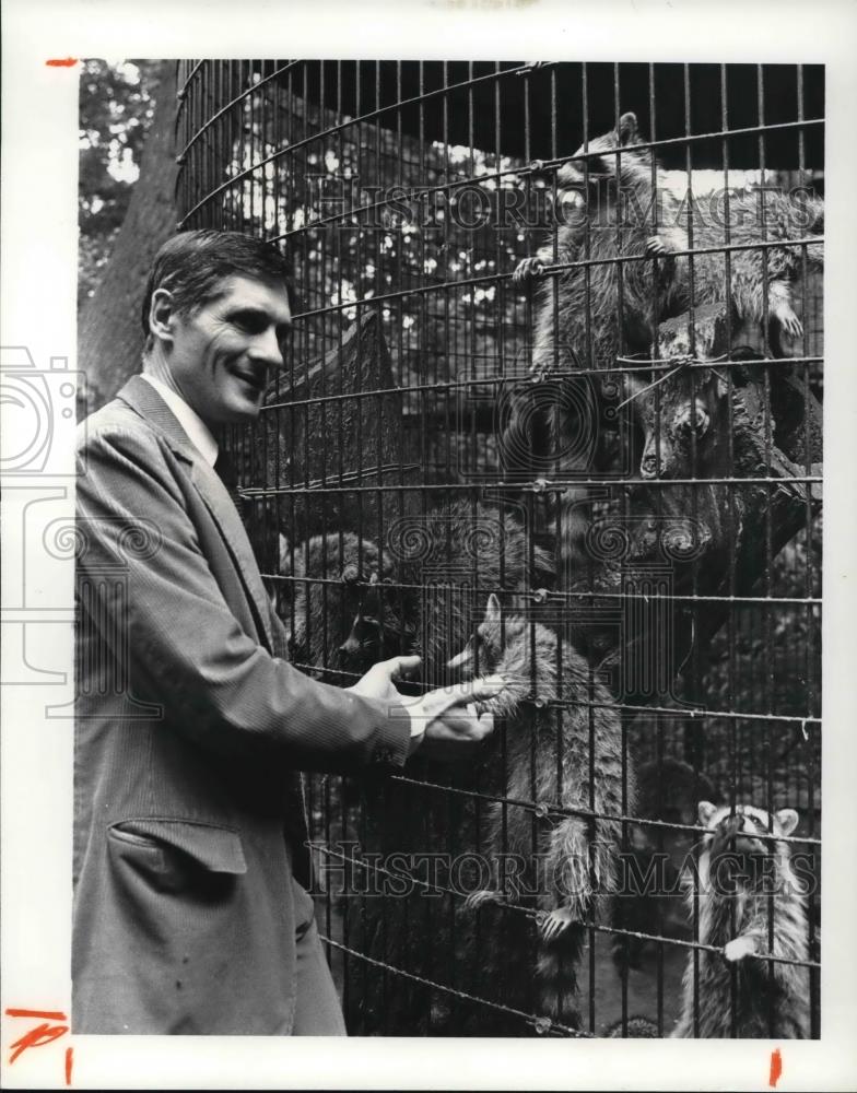 1981 Press Photo Aaron Leash with Raccoons - Historic Images