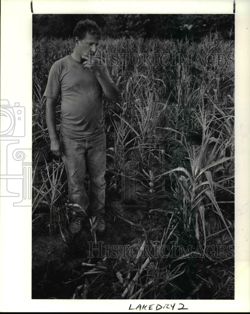 1991 Press Photo Ron Rzeszotarski stands amidst corn plant in a no-till field - Historic Images